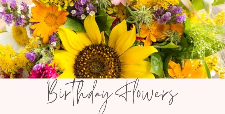 Florist in Charlotte, NC and Flower Delivery by Midwood Flower Shop