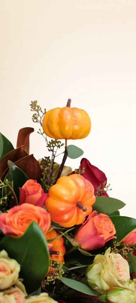 Fall flowers